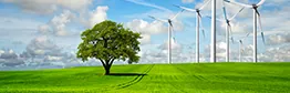 Diploma in Environmental Management (Level 4)